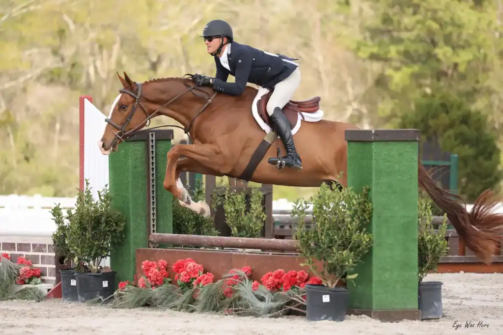 Equestrian rider jumping chestnut horse over show jumping fence