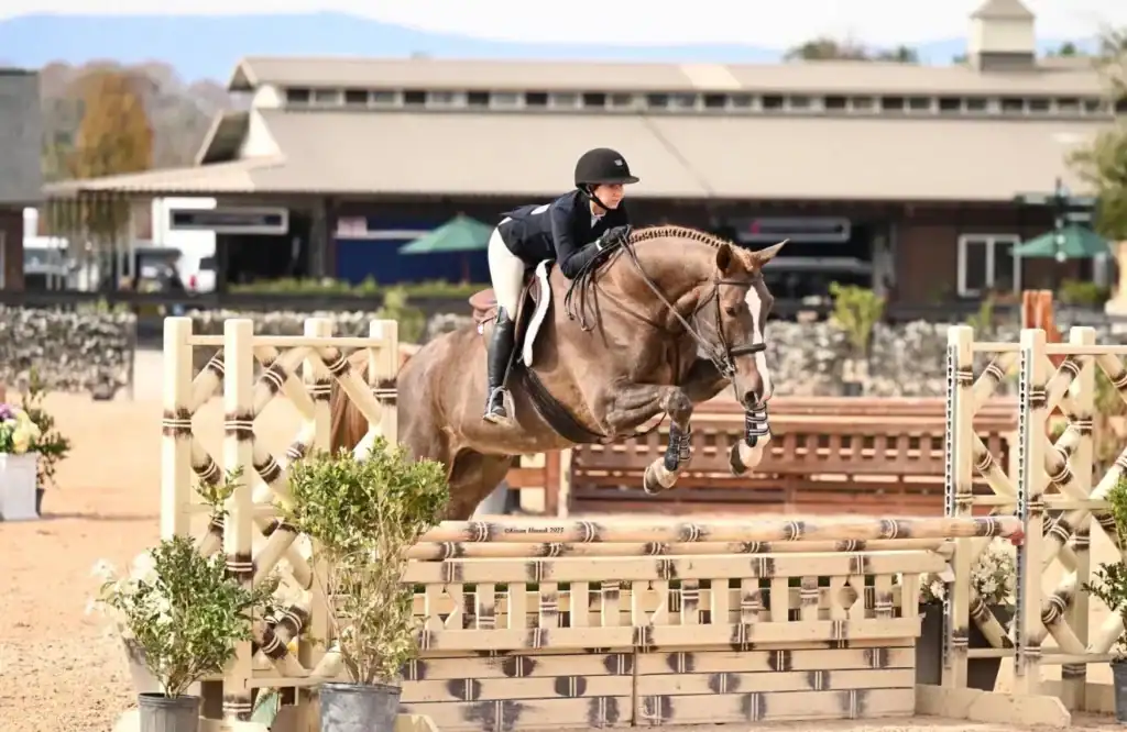 Equestrian rider jumping chestnut horse over fence at competition